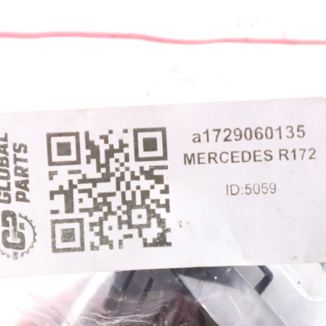 Mercedes-Benz R172 Lado Izquierdo Interior A-Pilar Luz Lámpara A1729060135