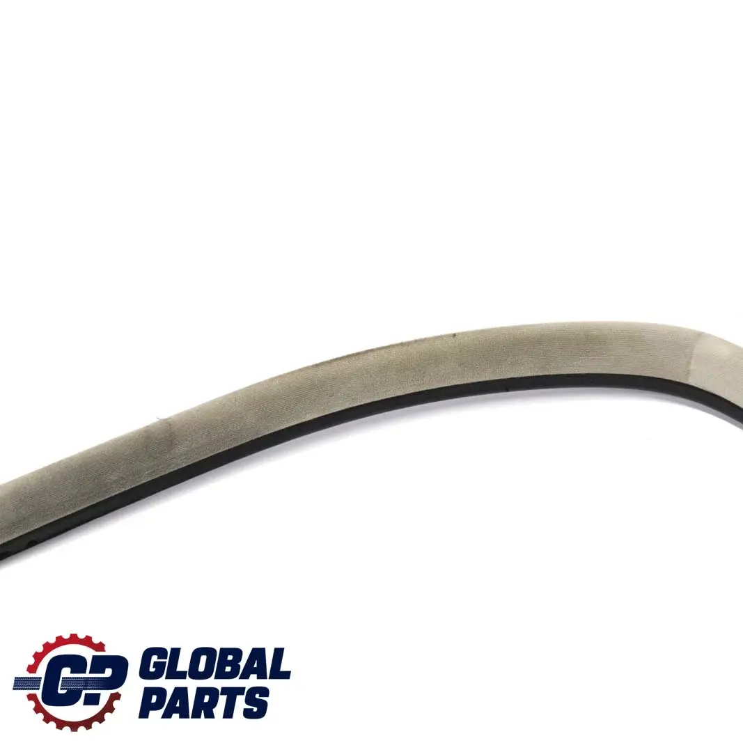 Mercedes-Benz C W203 Front Door Seal Frame Gasket Left Right Grey A2036972351