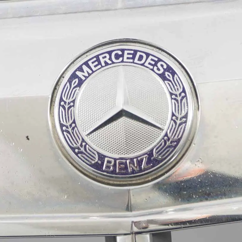 Frontgrill Mercedes W212 Motorhaube Kühlerverkleidung Chrom A2128800183