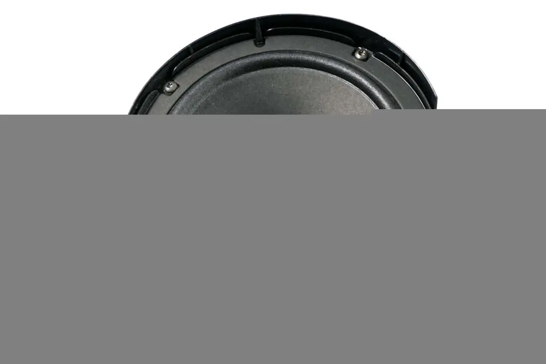 Mercedes-Benz S-Klasse W220 Vorne Links Tür Lautsprecher A2208200902