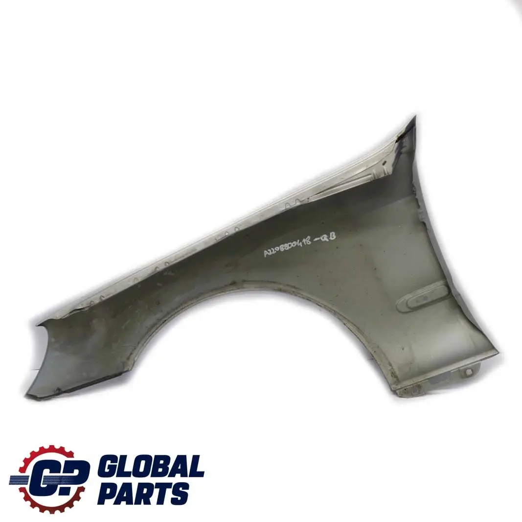 Mercedes-Benz S W220 Front Right O/S Side Panel Wing Fender Chalcedonblau Blue