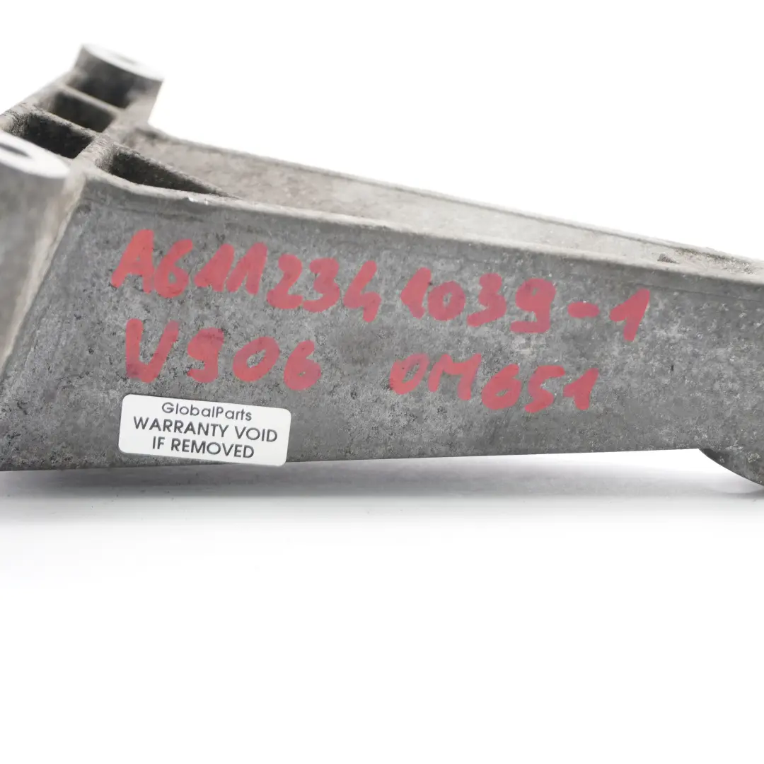 Mercedes W906 OM651 Lichtmaschine Riemenspanner Halterung Diesel A6112341039