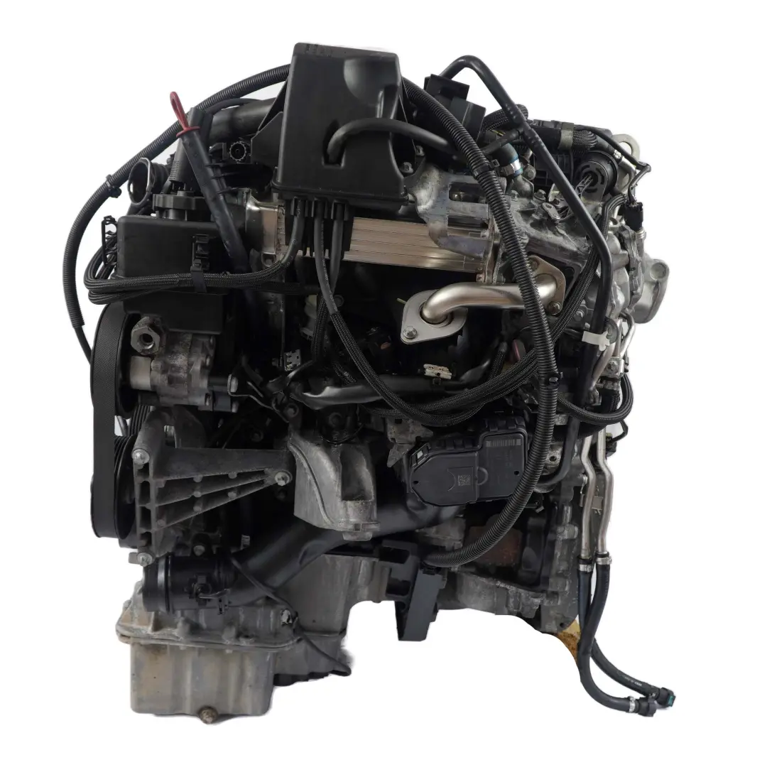 Motor 651955 Mercedes Sprinter W906 Motor Completo 651.955 95 000 km, GARANTIA