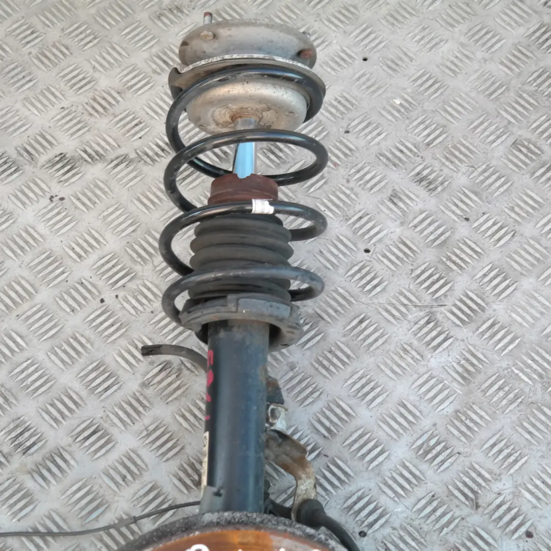 BMW E91 318i FRONTAL IZQUIERDO SPRING STRUT PIERNA SUSPENSIÓN FRENO CALLIPER