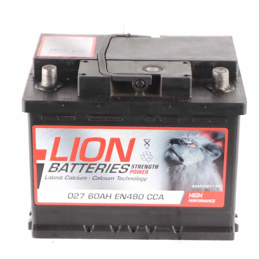 LION Calcium Accumulator Battery 60Ah 480A 12V