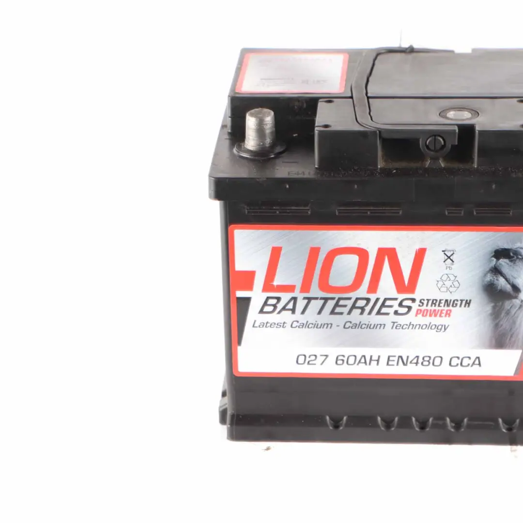 LION Calcium Accumulator Battery 60Ah 480A 12V