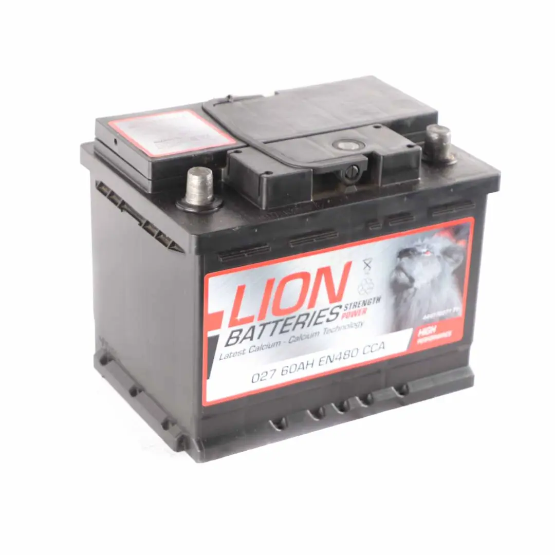 LION Calcium Accumulator Battery 60Ah 480A 12V
