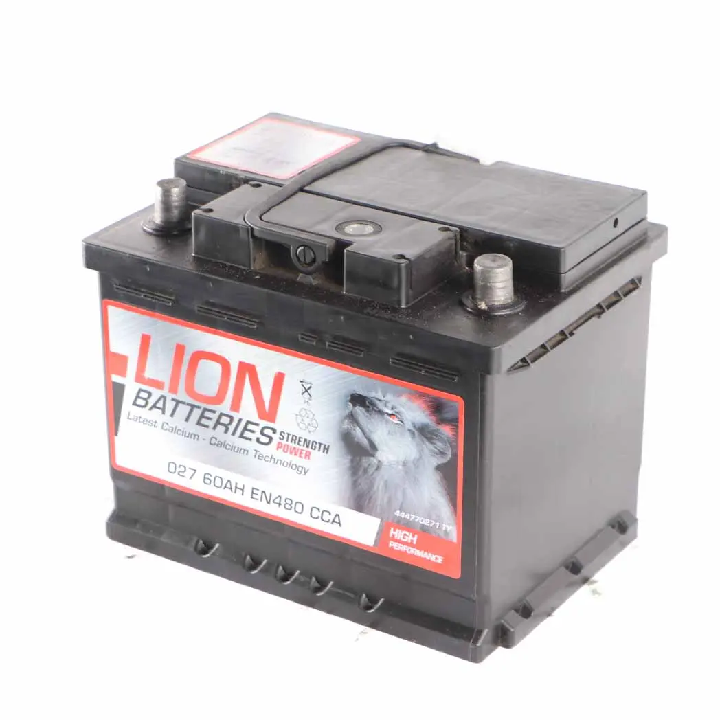 LION Calcium Accumulator Battery 60Ah 480A 12V