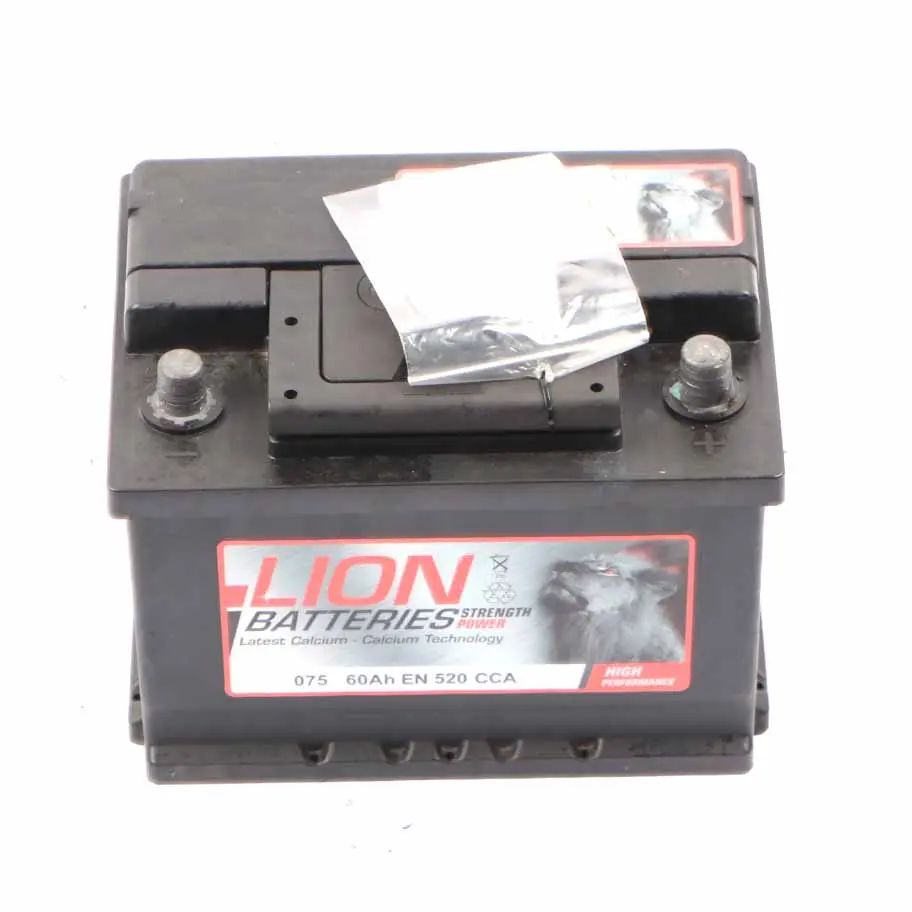 LION Calcium Accumulator Battery 60Ah 480A 12V