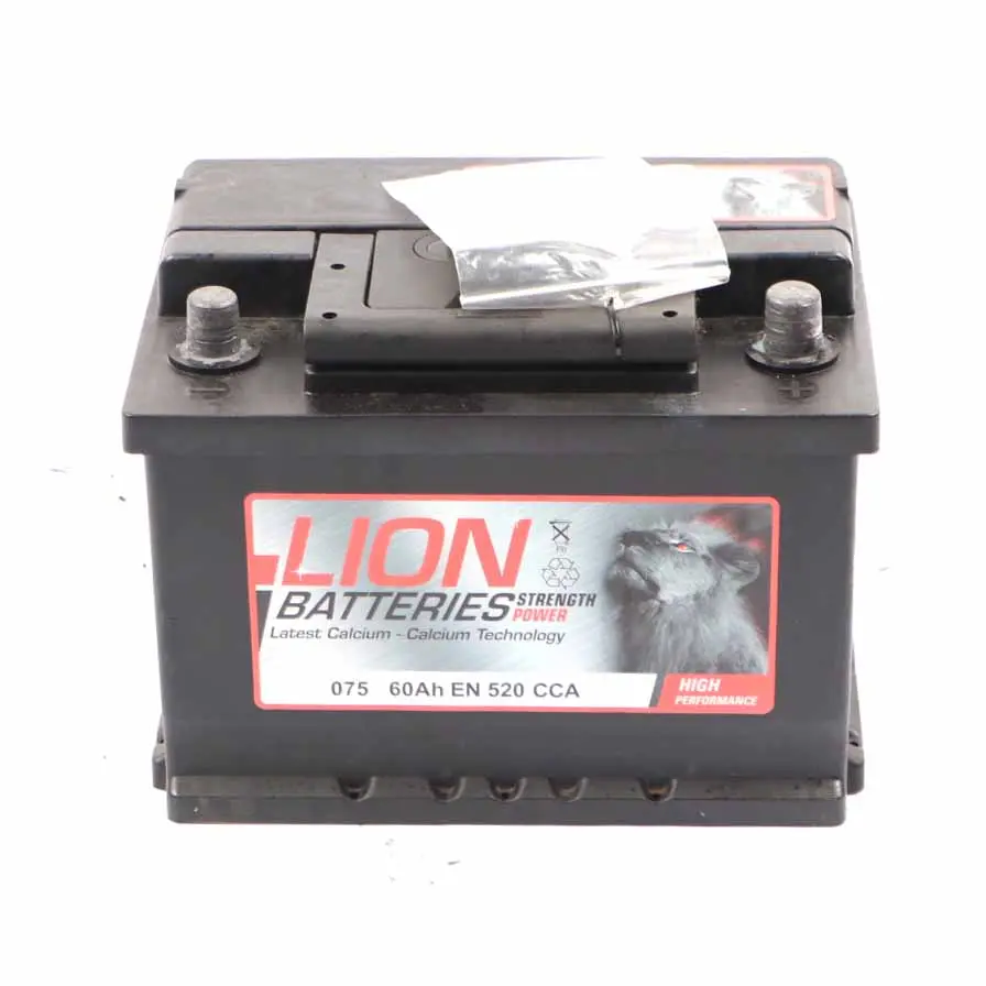 LION Calcium Accumulator Battery 60Ah 480A 12V