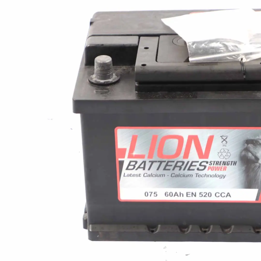 LION Calcium Accumulator Battery 60Ah 480A 12V