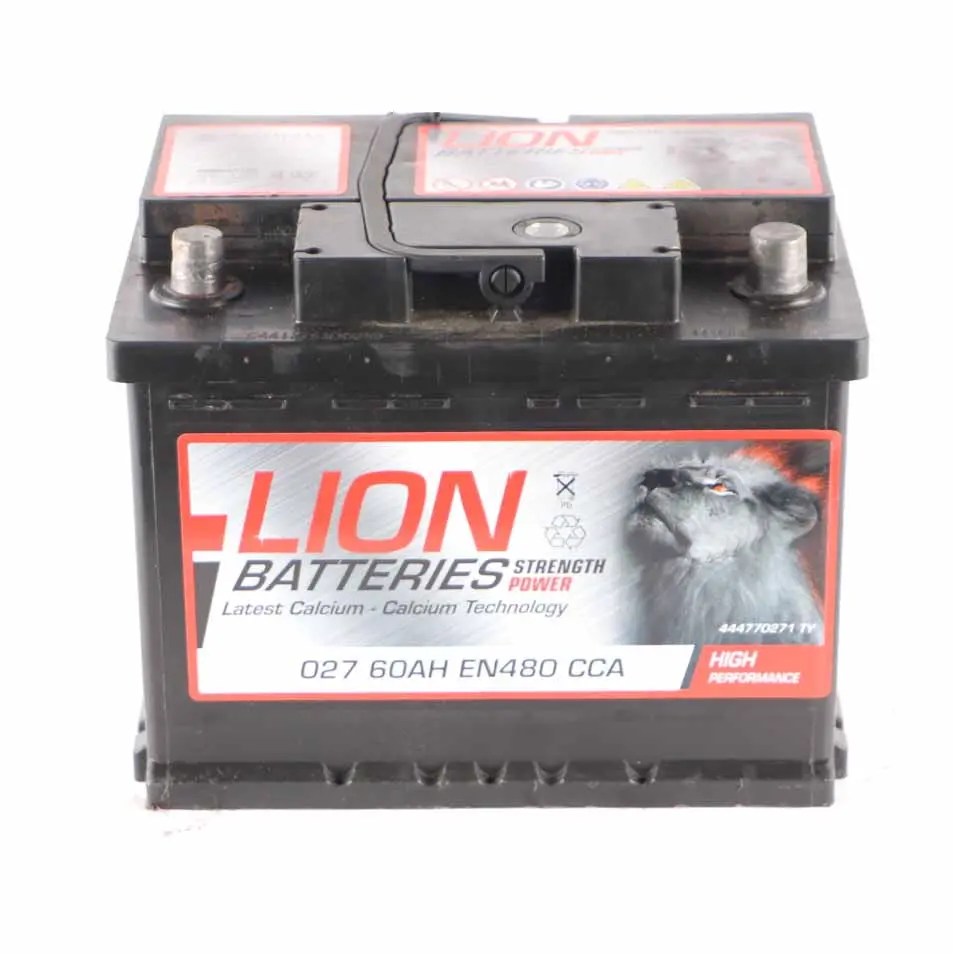 LION Calcium Accumulator Battery 60Ah 480A 12V