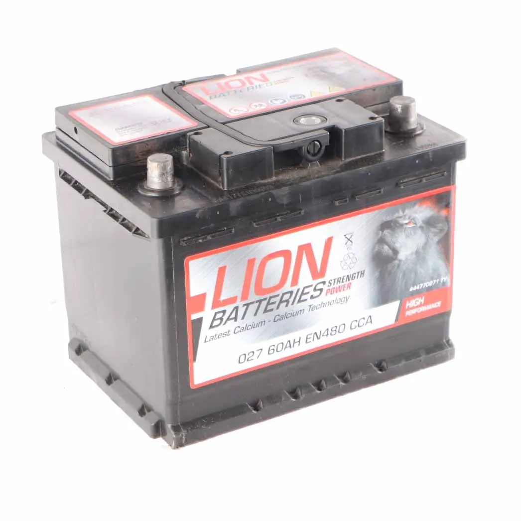 LION Calcium Accumulator Battery 60Ah 480A 12V