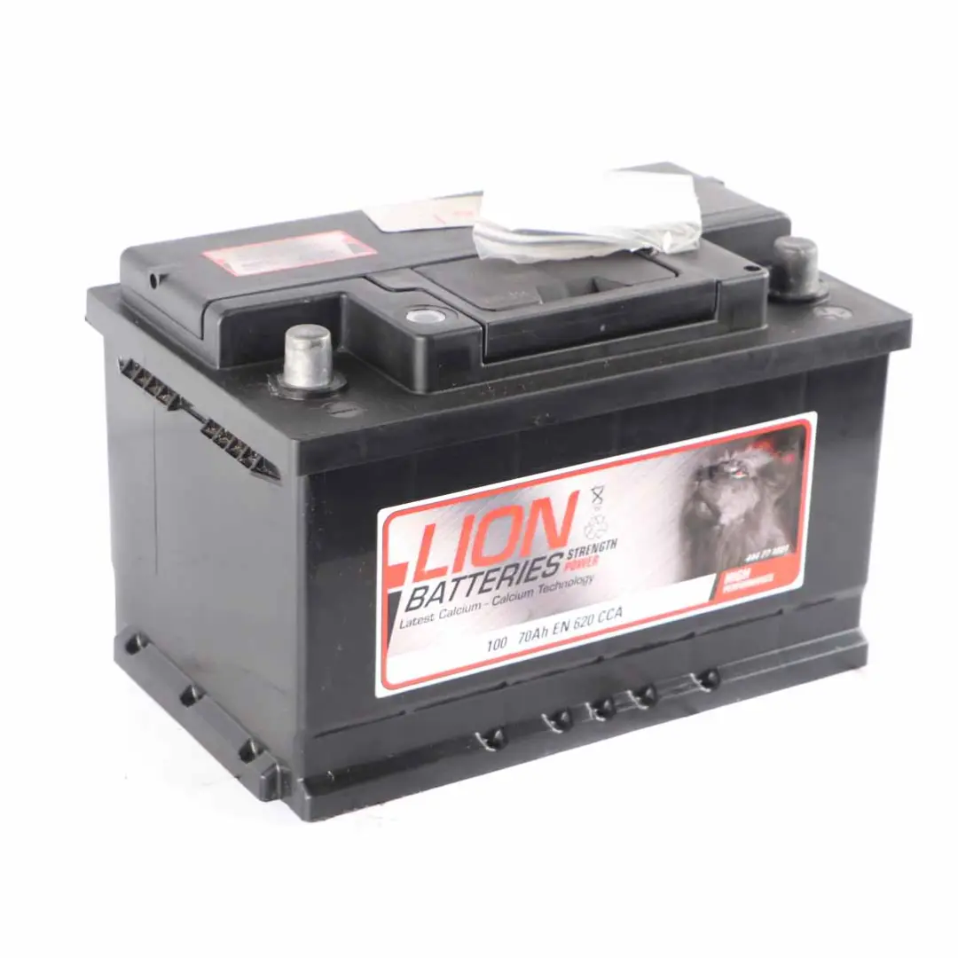 LION Calcium Accumulator Battery 70Ah 640A 12V