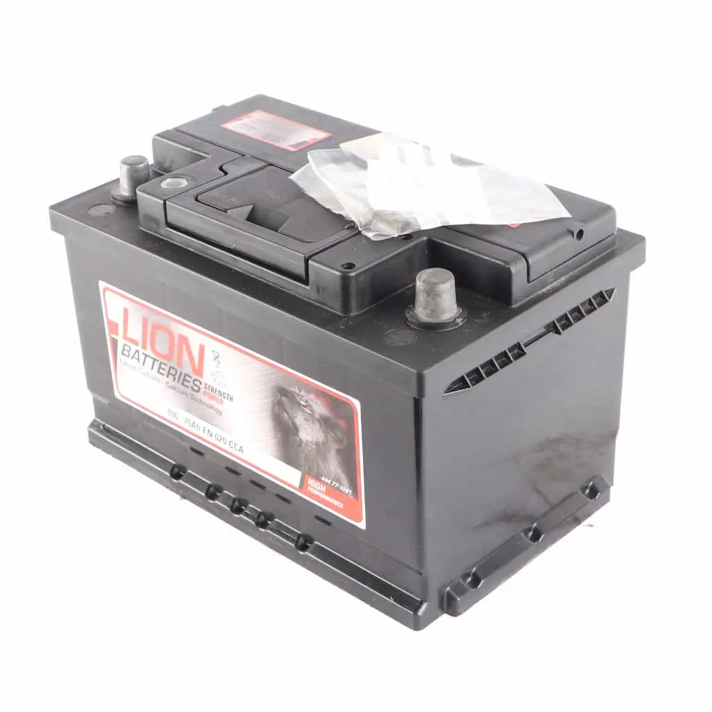 LION Calcium Accumulator Battery 70Ah 640A 12V