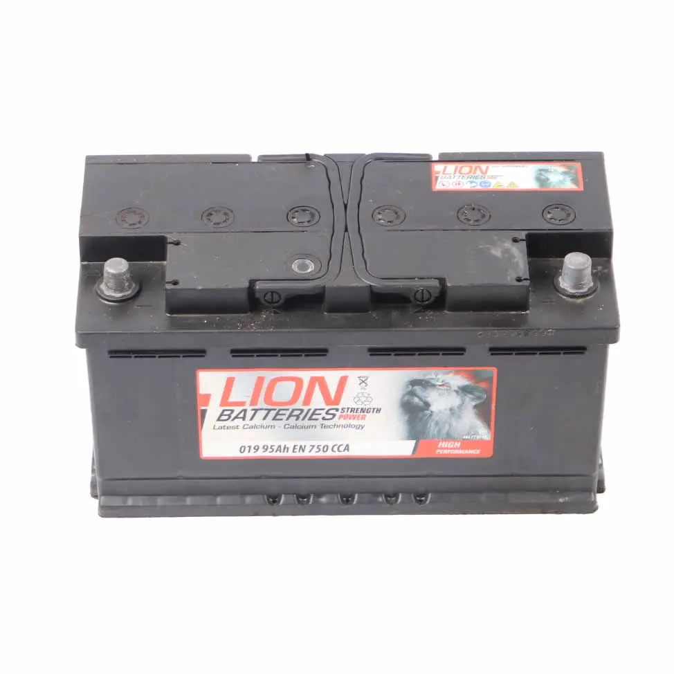 LION Calcium Accumulator Battery 95Ah 750A 12V
