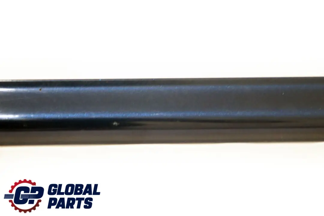 BMW 3 E46 Front Left Door N/S Moulding Trim Strip Mysticblau Metallic Blue A07