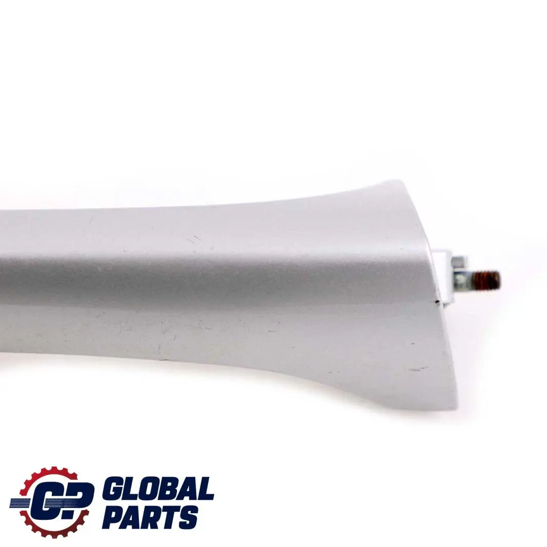 BMW X5 Series E53 Front Rear Right Door O/S Grab Handle Titansilber Silver 354