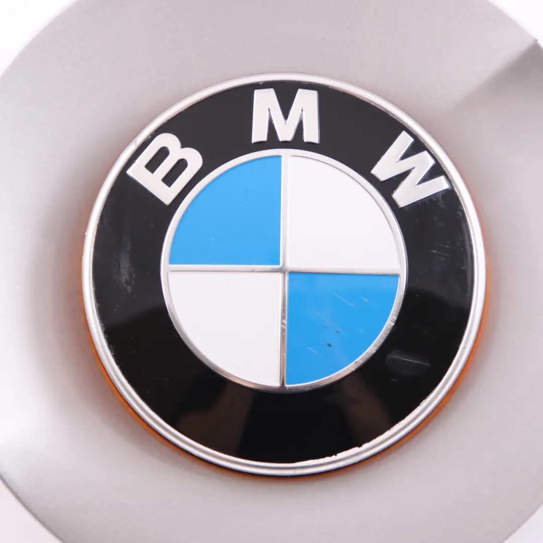 BMW Z4 E85 Cover Trim Side Panel Indicator Emblem Left N/S Titansilber Silver