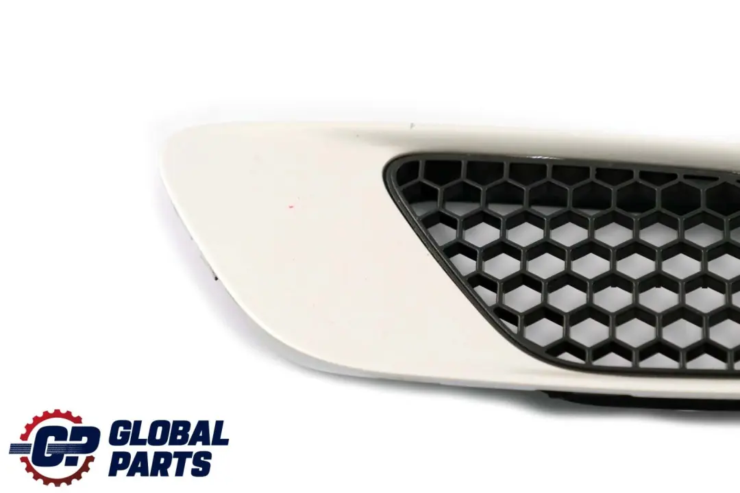 BMW 3 Series E90 E92 M3 Front Trim Left N/S Frame Grille Hood White Gold