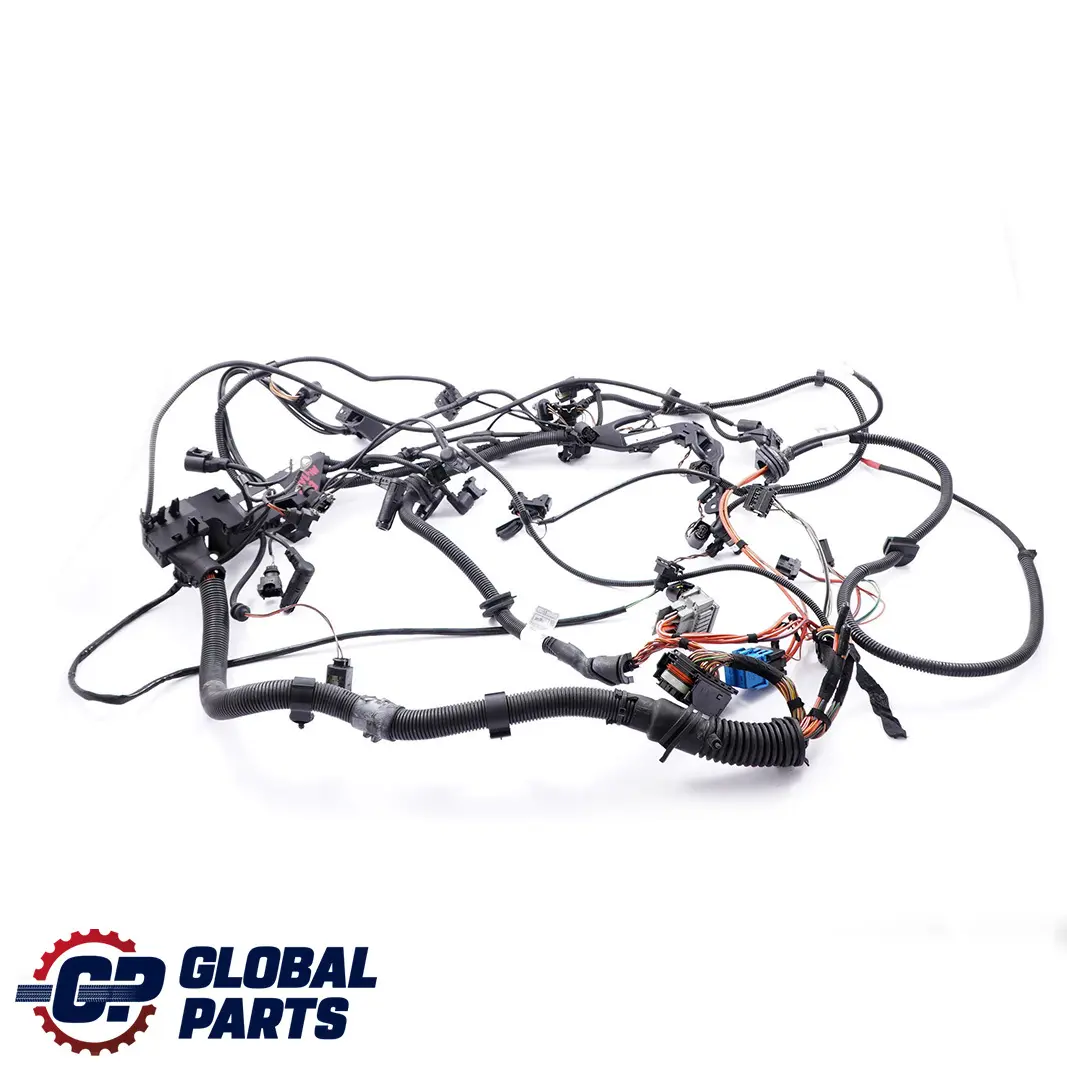 BMW 3 Series E46 320d M47N Diesel Engine Wiring Harness Module Manual 7790726