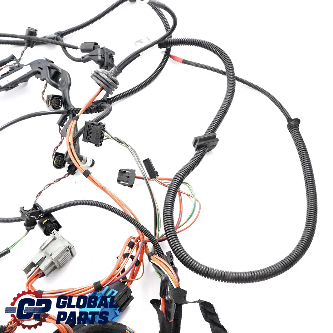 BMW 3 Series E46 320d M47N Diesel Engine Wiring Harness Module Manual 7790726