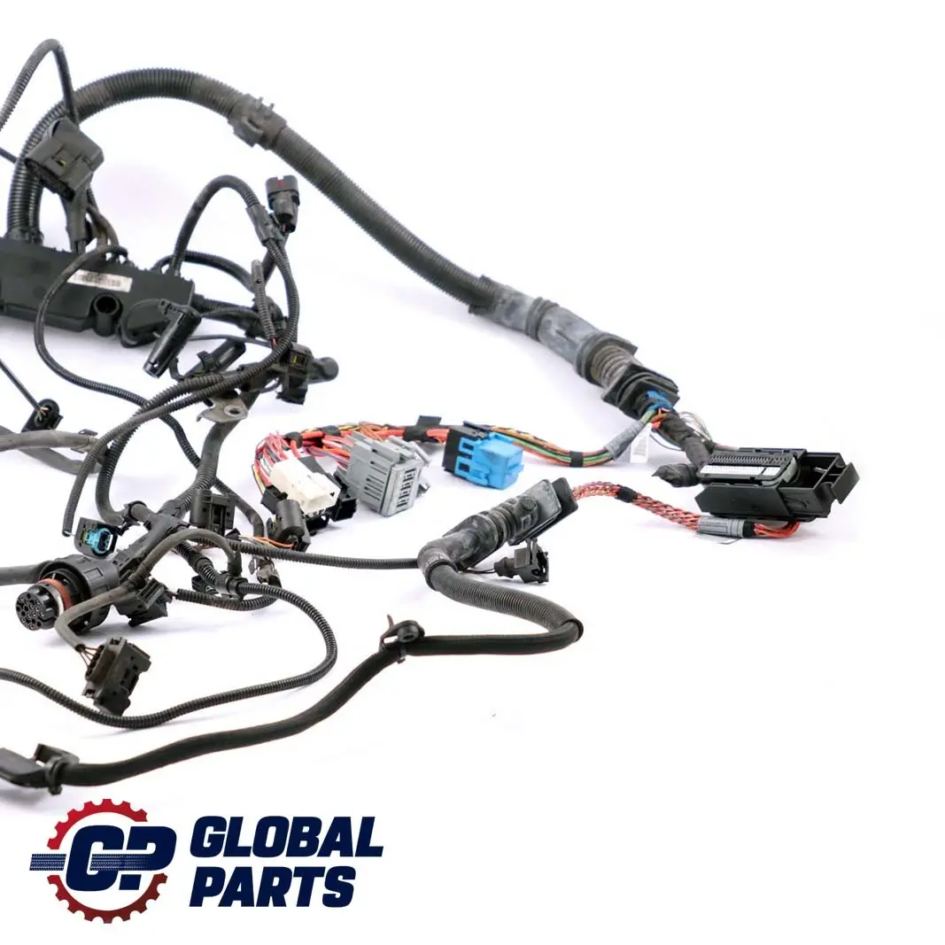 BMW X5 X6 Series E70 3.0sd E71 35dX M57N2 Engine Wiring Harness DDE Set 7803681