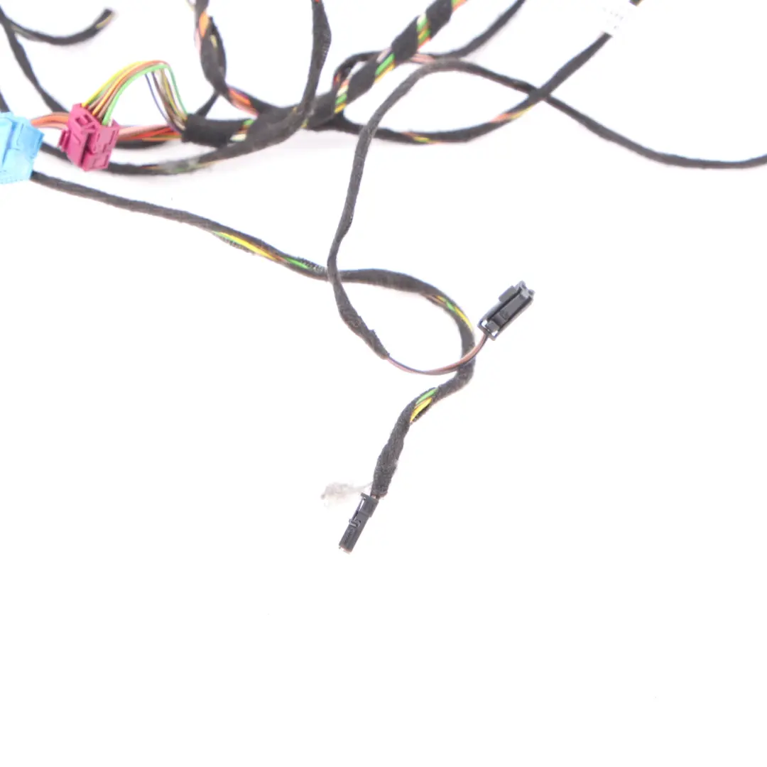 Mercedes CLS W218 Door Wiring Harness Loom Front Left Right N/O/S A2185404307