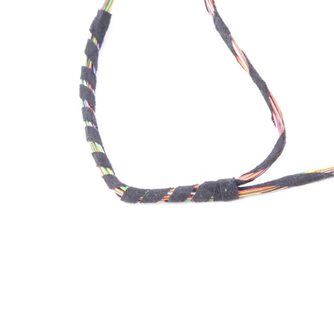 Mercedes CLS W218 Door Wiring Harness Loom Front Left Right N/O/S A2185404307