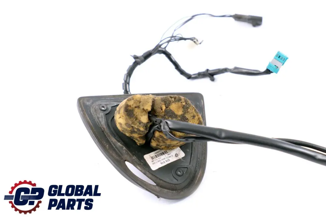 Mercedes CL S Class C215 W220 Left N/S Wing Door Mirror Wiring A2208100676