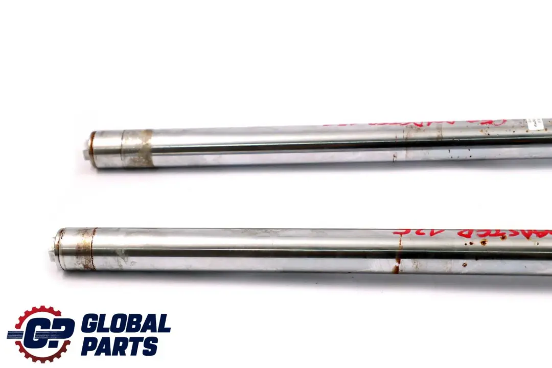 SFM Roadster 125 Vorne Gabelholm Gabel Federgabel Federbein Set