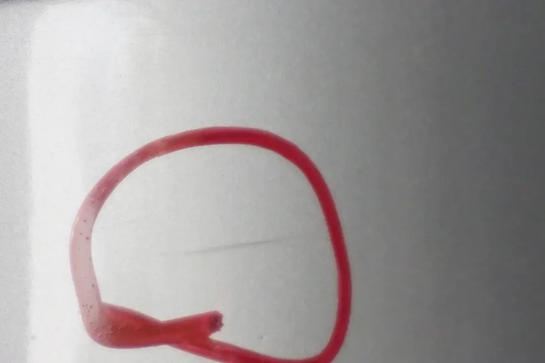 Complete Rear Bumper Trim Panel PDC Titansilber Silver to BMW X3 Series E83 with Part number 3400941 BMW X3 Series E83 Complete Rear Bumper Trim Panel PDC Titansilber Silver - SKU 3400941-TS - Part number 3400941