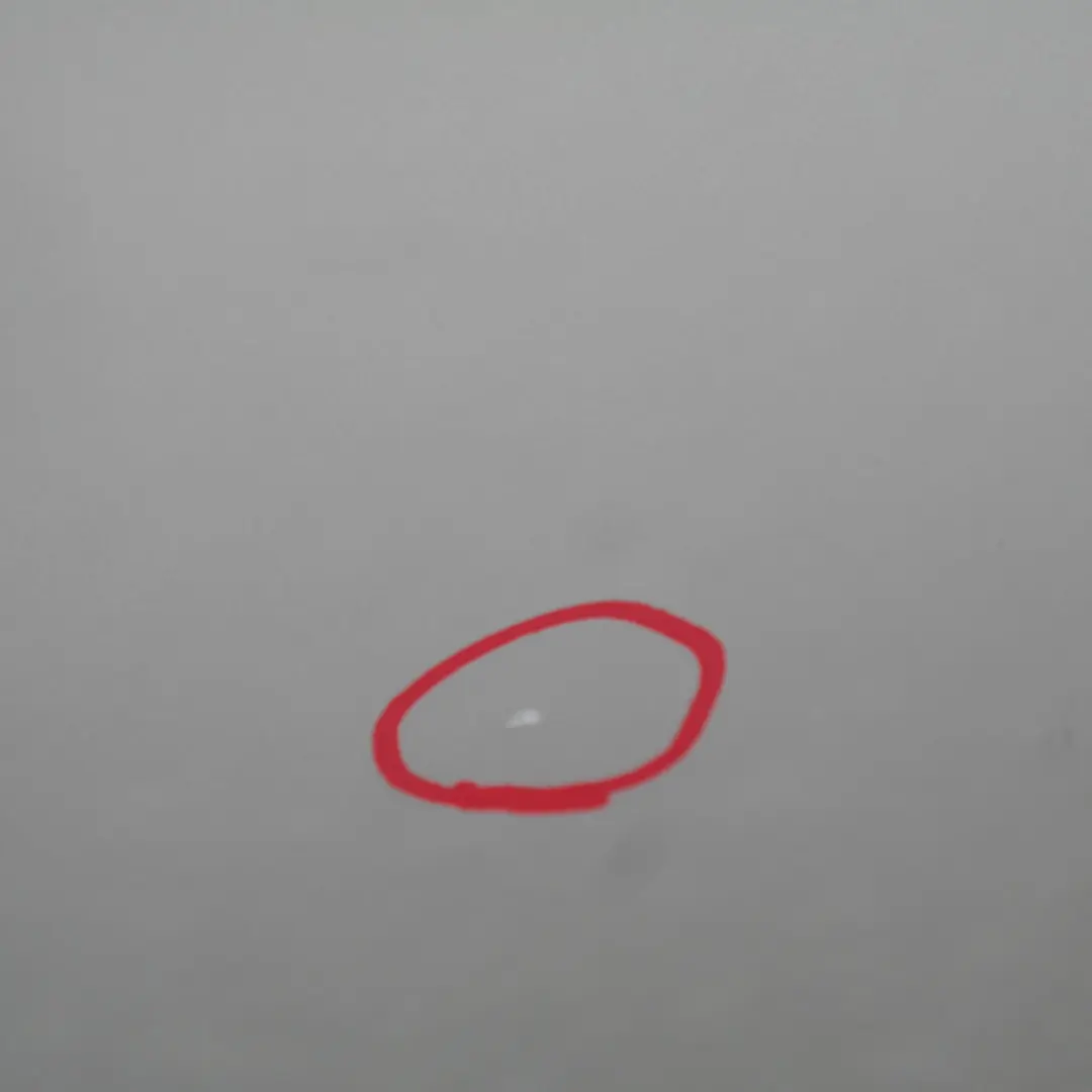 Passeggero T?r Posteriore Destra Argento-Titanio Argento per BMW E90 E90N LCI con numero di parte 7203648 BMW E90 E90N LCI Passeggero T?r Posteriore Destra Argento-Titanio Argento - SKU 7203648-TS6 - Numero di parte 7203648