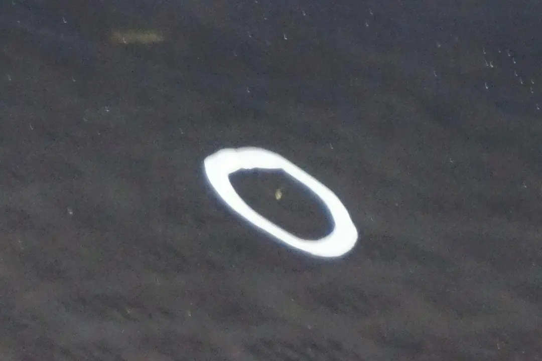 Drzwi lewe przednie Tiefseeblau do BMW E60 E61 o numerze 7202339 BMW E60 E61 Drzwi lewe przednie Tiefseeblau - SKU 7202339-DSB - Numer Części 7202339