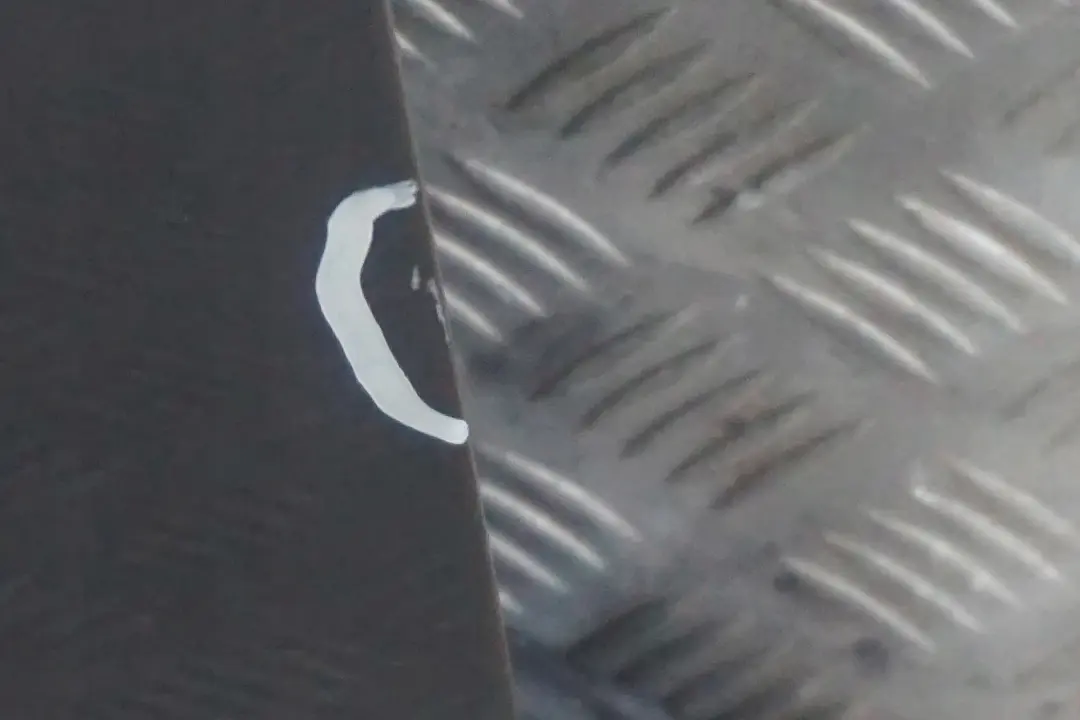 Reihe E87 Tür vorne rechts Quarzblau Quarz Blau Metallic - A18 für BMW 1 mit Teilenummer 7191012 BMW 1 Reihe E87 Tür vorne rechts Quarzblau Quarz Blau Metallic - A18 - SKU 7191012-QB19 - Teilenummer 7191012