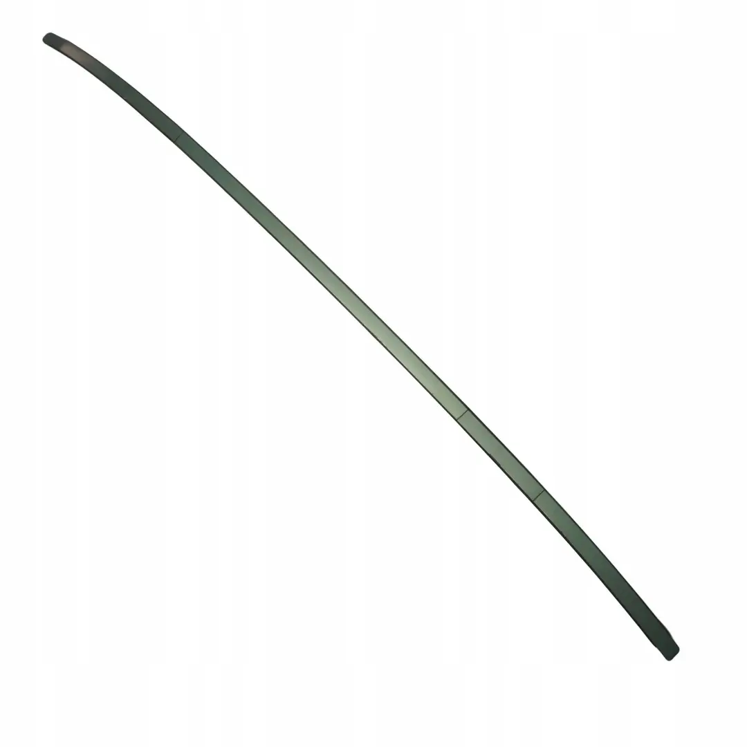 BMW E46 Berlina Izquierda Techo Moldura Tira Meergruen Sea Green - 393 - SKU 9071685-MRG - Número de pieza 9071685