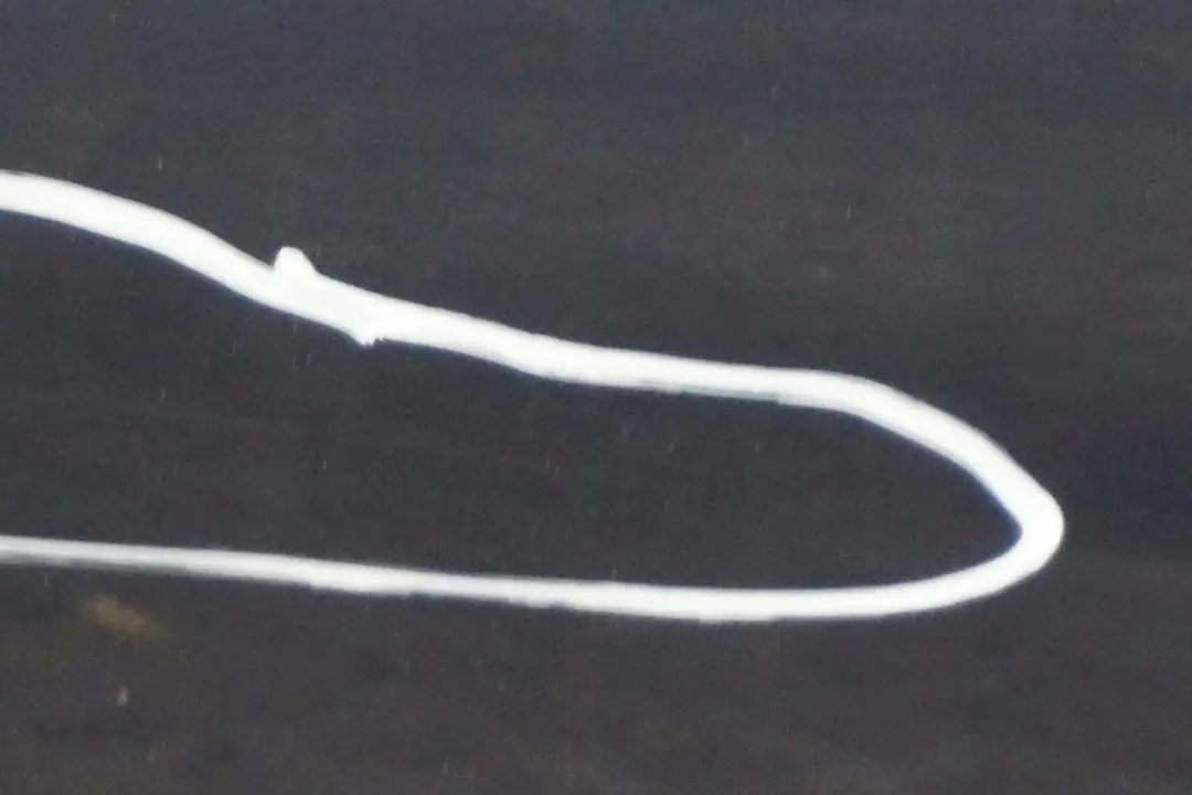 Porta Posteriore Sinistra Blu Acque Profonde Blu Metallizzato - A76 per BMW E60 con numero di parte 7202341 BMW E60 Porta Posteriore Sinistra Blu Acque Profonde Blu Metallizzato - A76 - SKU 7202341-DSB1 - Numero di parte 7202341