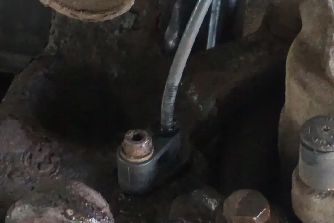 BMW Z4 E85 Roadster 2.0i N46 Set Molla Sospensioni Cuscinetto Perno Anteriore SX - SKU 6785988 - Numero di parte 6785988