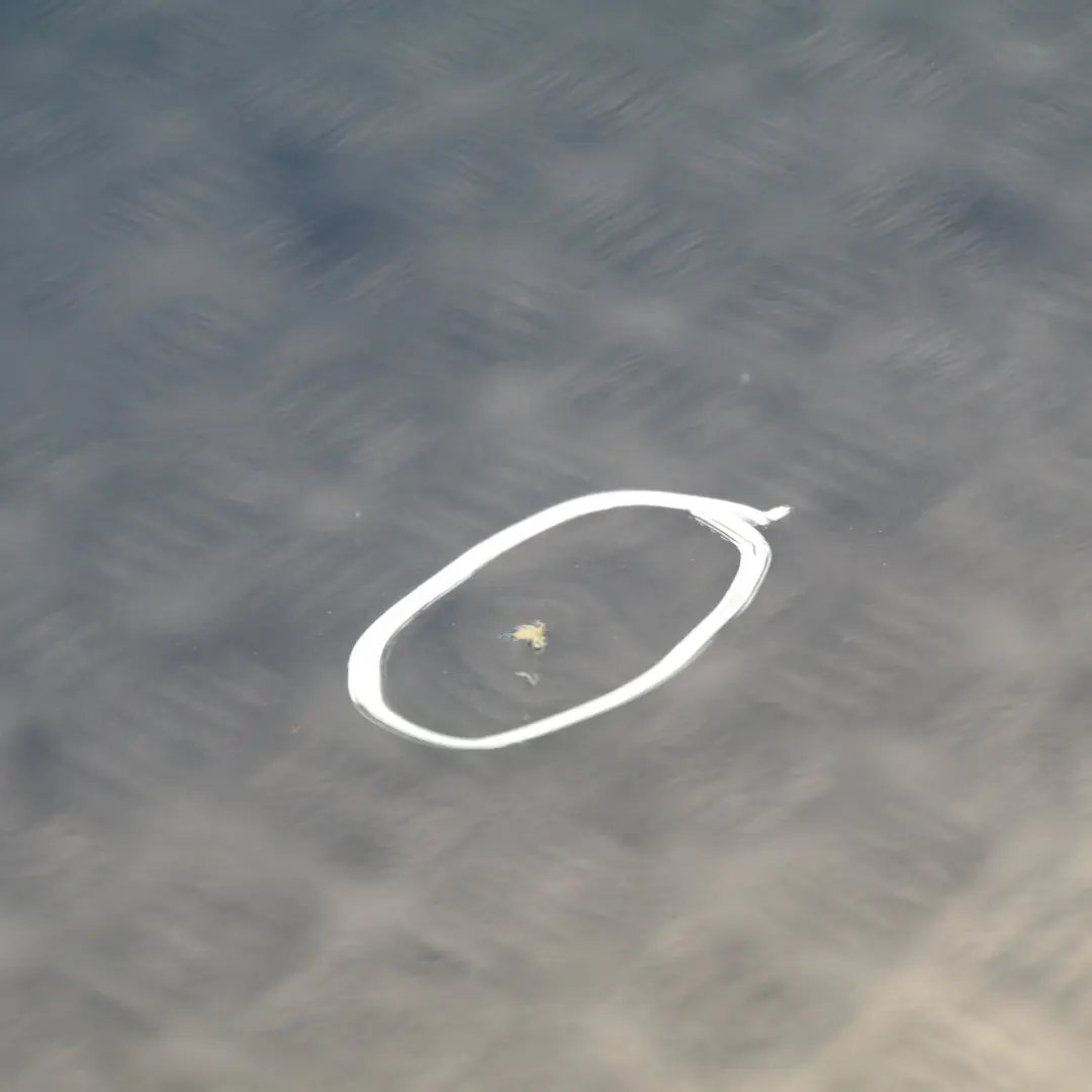 Clubdoor Door hinten rechts Lightning Blue - A63 für Mini Clubman R55 mit Teilenummer 7312189 Mini Clubman R55 Clubdoor Door hinten rechts Lightning Blue - A63 - SKU 7312189-LB - Teilenummer 7312189