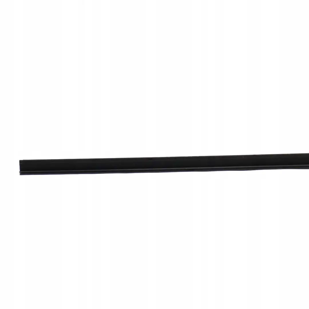BMW X3 E83 E83N LCI Couverture Marchepied A Gauche 5171 - SKU 3403001 - Numéro de pièce 3403001