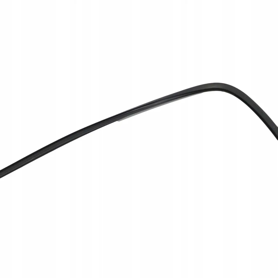 BMW X1 Series E84 Windscreen Windshield Window Moulding Seal Strip - SKU 7307896 - Part number 7307896