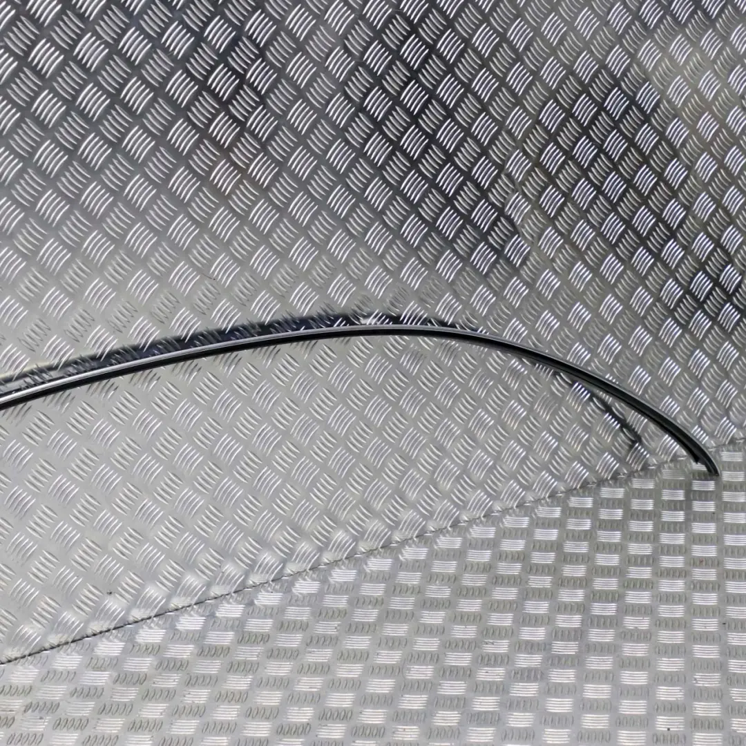 Mercedes Benz CLK Class C209 Left N/S Roof Side Moulding Trim Strip - SKU A2096900580 - Part number A2096900580