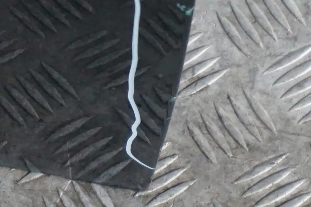 Drzwi lewe British Racing Green do MINI Cooper R56 o numerze 2755935 MINI Cooper R56 Drzwi lewe British Racing Green - SKU 2755935-BRG7 - Numer Części 2755935