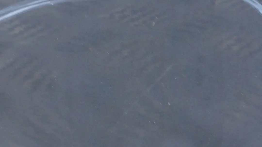 Klapa pokrywa bagażnika Tiefgruen do BMW E91 o numerze 7166105 BMW E91 Klapa pokrywa bagażnika Tiefgruen - SKU 7166105-TG - Numer Części 7166105