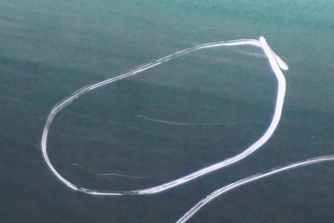 Door Front Left N/S British Racing Green to BMW MINI Cooper 5 R55 R56 R57 R58 R59 with Part number 2755935 BMW MINI Cooper 5 R55 R56 R57 R58 R59 Door Front Left N/S British Racing Green - SKU 2755935-BRG5 - Part number 2755935