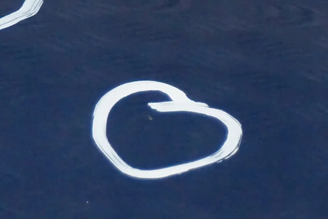 Fahrerseite Tür Hinten Links Sydneyblau Sydney Blau A19 für BMW 1 er E87 mit Teilenummer 7191017 BMW 1 er E87 Fahrerseite Tür Hinten Links Sydneyblau Sydney Blau A19 - SKU 7191017-SYD12 - Teilenummer 7191017