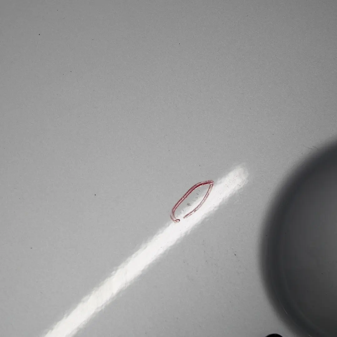 TĂĽr Vorne Rechts Pure Silver Silber - 900 für Mini Cooper R50 R52 R53 6 mit Teilenummer 7202912 Mini Cooper R50 R52 R53 6 TĂĽr Vorne Rechts Pure Silver Silber - 900 - SKU 7202912-PS6 - Teilenummer 7202912