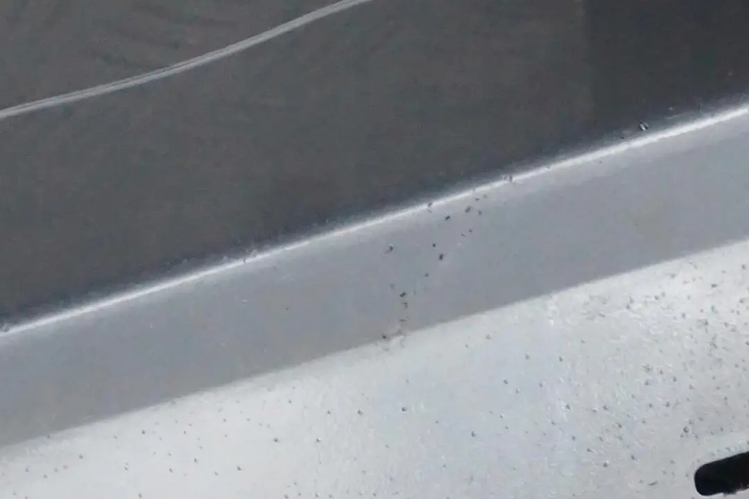 Sill Strip Side Skirt left N/S Bluewater Blue Water to BMW 3 Series E90 E91 LCI 1 with Part number 0037059 BMW 3 Series E90 E91 LCI 1 Sill Strip Side Skirt left N/S Bluewater Blue Water - SKU 0037059-WB1 - Part number 0037059