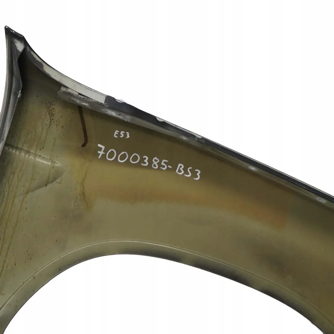 Panel Lateral Guardabarros Delantero Izquierdo Negro Zafiro Metalico para BMW X5 E53 con número de pieza 7000385 BMW X5 E53 Panel Lateral Guardabarros Delantero Izquierdo Negro Zafiro Metalico - SKU 7000385-BS3 - Número de pieza 7000385