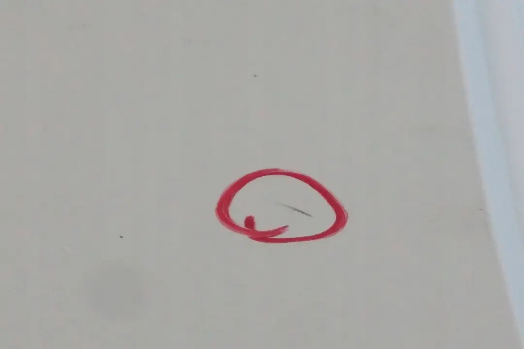 Puerta Trasera Derecha Club Door Pepper White - 850 para Mini Clubman R55 1 con número de pieza 7312189 Mini Clubman R55 1 Puerta Trasera Derecha Club Door Pepper White - 850 - SKU 7312189-PW1 - Número de pieza 7312189